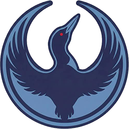 resistance loon random