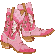 cowboy boots random