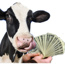 cash cow random
