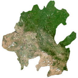 hidalgo estado random