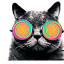 hallucinate intensifies random