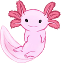 axolotl random