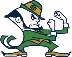 a cartoon of a man in a lepreite outfit