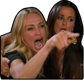 woman yelling at cat random