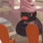 pingu grumpy zoom random