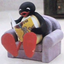 pingu reading random