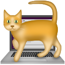 cat on keyboard random