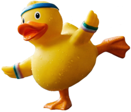 yoga duck random