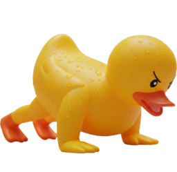 pushup duck random