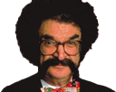gene shalit random
