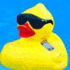 rubber duck cool random