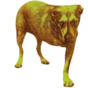 aliceinchains random