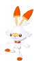 scorbunny random