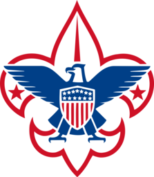 boy scouts random