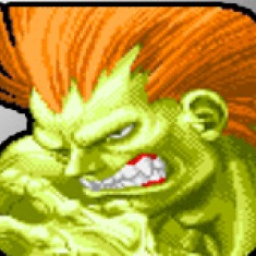 blanka street fighter ii random