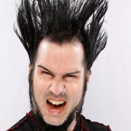 wayne static x random