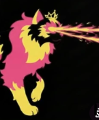 donutmissile 5 random