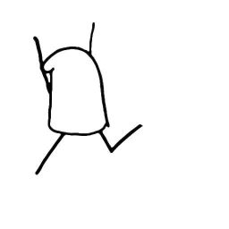 flork running random