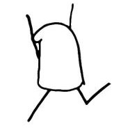 flork running random