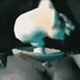 a blurry photo of a pigeon sitting on a person's lap