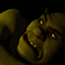 shrek stare random