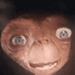 a creepy looking animal with eyes wide open