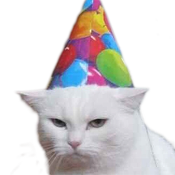 cat birthday1 random
