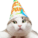 cat birthday2 random