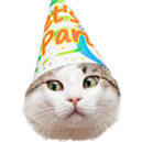 cat birthday3 random