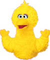 bigbird random