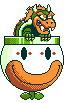 bowser random