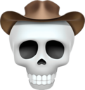 a skull wearing a cowboy hat