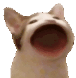 image random