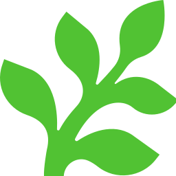 fern random