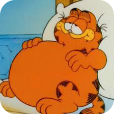 garfield full random