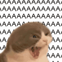 aaaaaaa intensifies 1 random