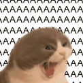aaaaaaa intensifies 2 random