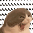 aaaaaaa intensifies 3 random