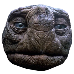 morla random