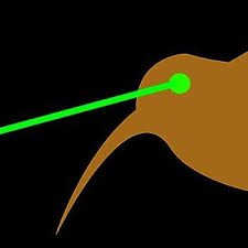 laser kiwi random