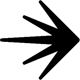 launchdarkly random