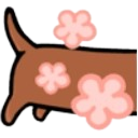 dachshund2pt1 random