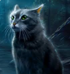 a cat sitting in the middle of a forest