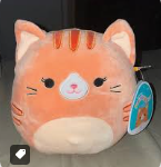 gigi the cat random