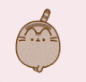 pusheens catwalk random