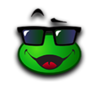 a green face with sunglasses and a bird on top of it