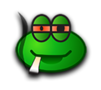 a green frog with sunglasses on its face