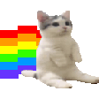 sitting cat nyan random