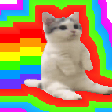sitting cat nyan hyper random