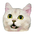cat wave hi random